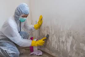 Best Mold Odor Removal Services  in West Milwaukee, WI